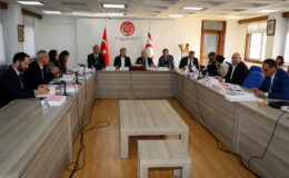 Komite’de Cumhuriyet Meclisi, Başbakanlık ve Ombudsman bütçeleri onaylandı