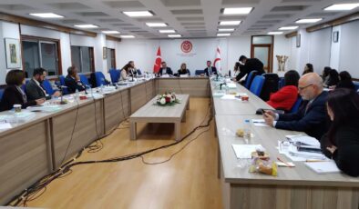 Dışişleri Bakanlığı bütçesi görüşmesinde Kıbrıs sorunu konuşuluyor