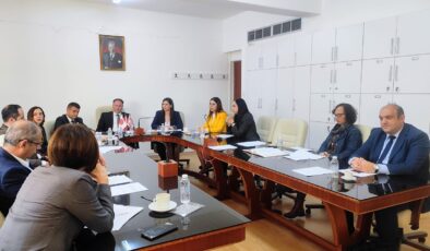 Yükseköğretimin denetlenmesi için kurulan meclis komitesi toplandı