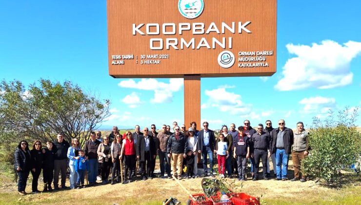 Koopbank çalışanları, Koopbank Ormanı’na fidan dikti